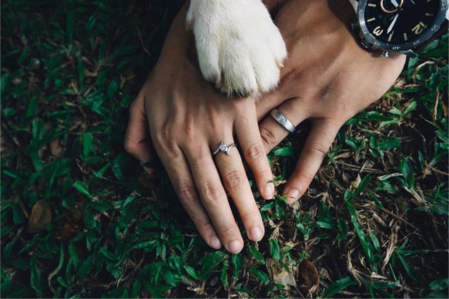 wedding dogs paw